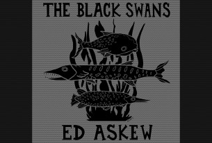 sábado 16-11-2012<br /> concierto acústico <br />the black swans